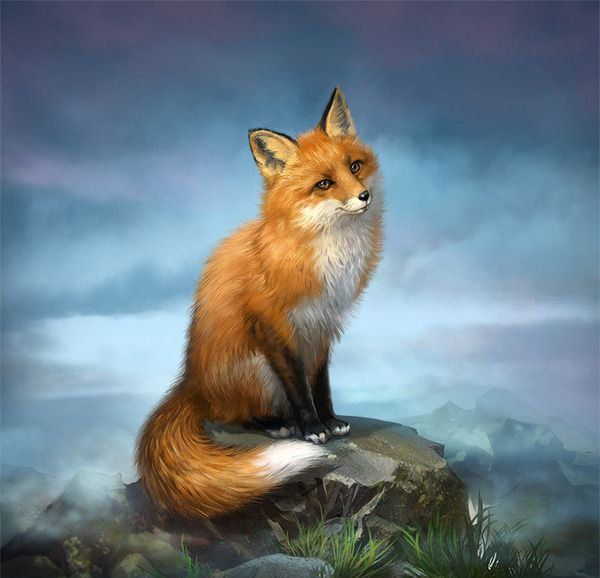 Celtic Fox Animal Zodiac Sign celtic fox animal